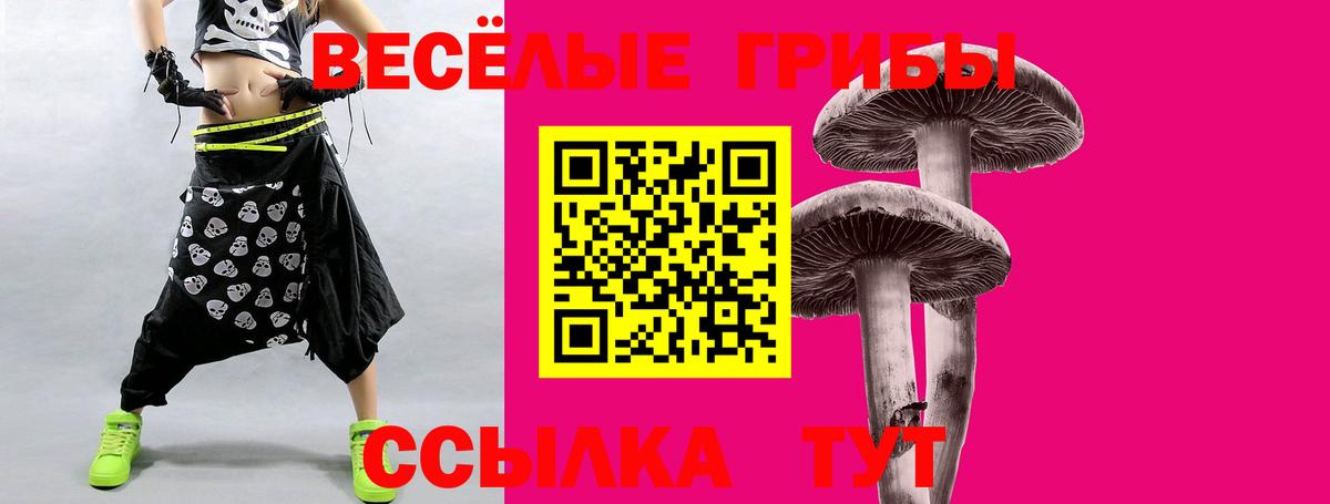 Псилоцибиновые грибы ЛСД Советская Гавань